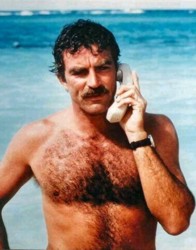 selleck_magnum_pi