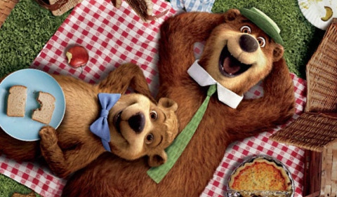 yogi2